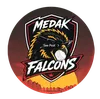 Medak Falcons